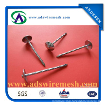 9g/10g/11g/12g Umbrella Roofing Nails for Africa and Indian Market